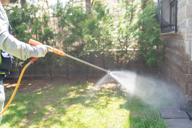 Best Mosquito Control Services  in Graton, CA