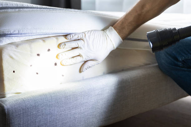 Best Best Pest Control Companies  in Graton, CA
